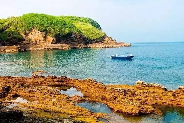 逃离椰子岛