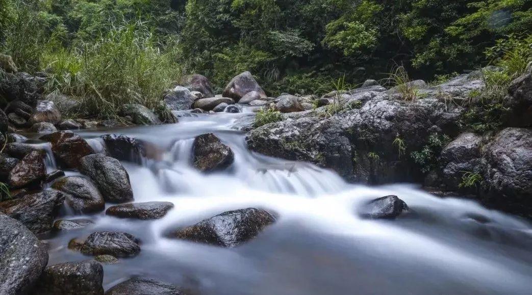 深圳湾一号
